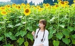 免费点影在线观看网站大全